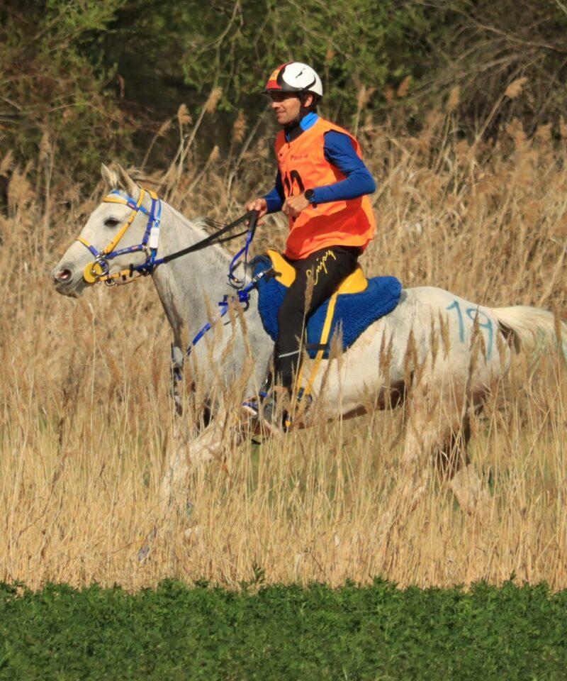 Faya de Bozouls