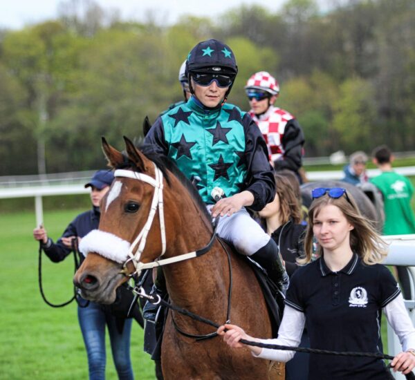 Elevage de Bozouls Elevage chevaux arabes courses de plat