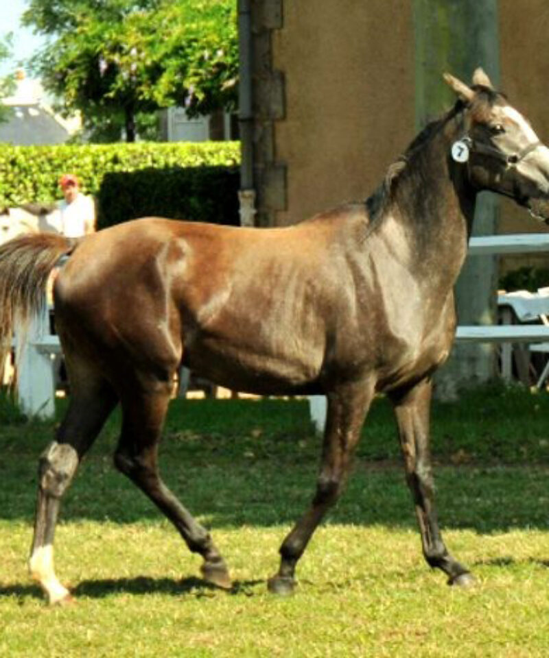 Asia de Bozouls