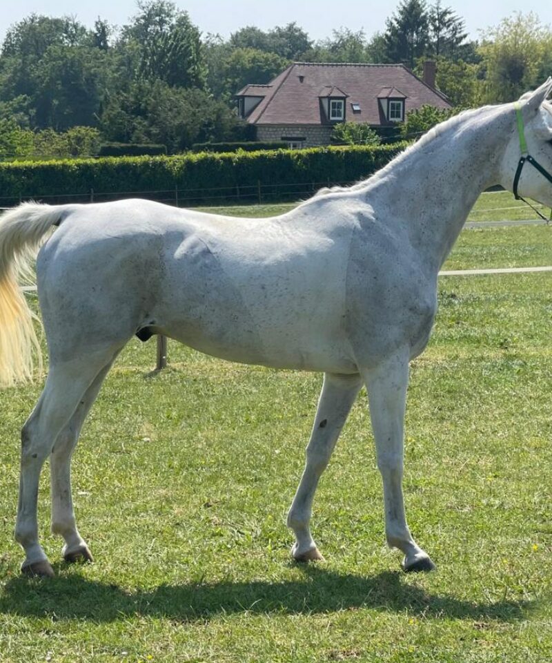 Djewel de Bozouls