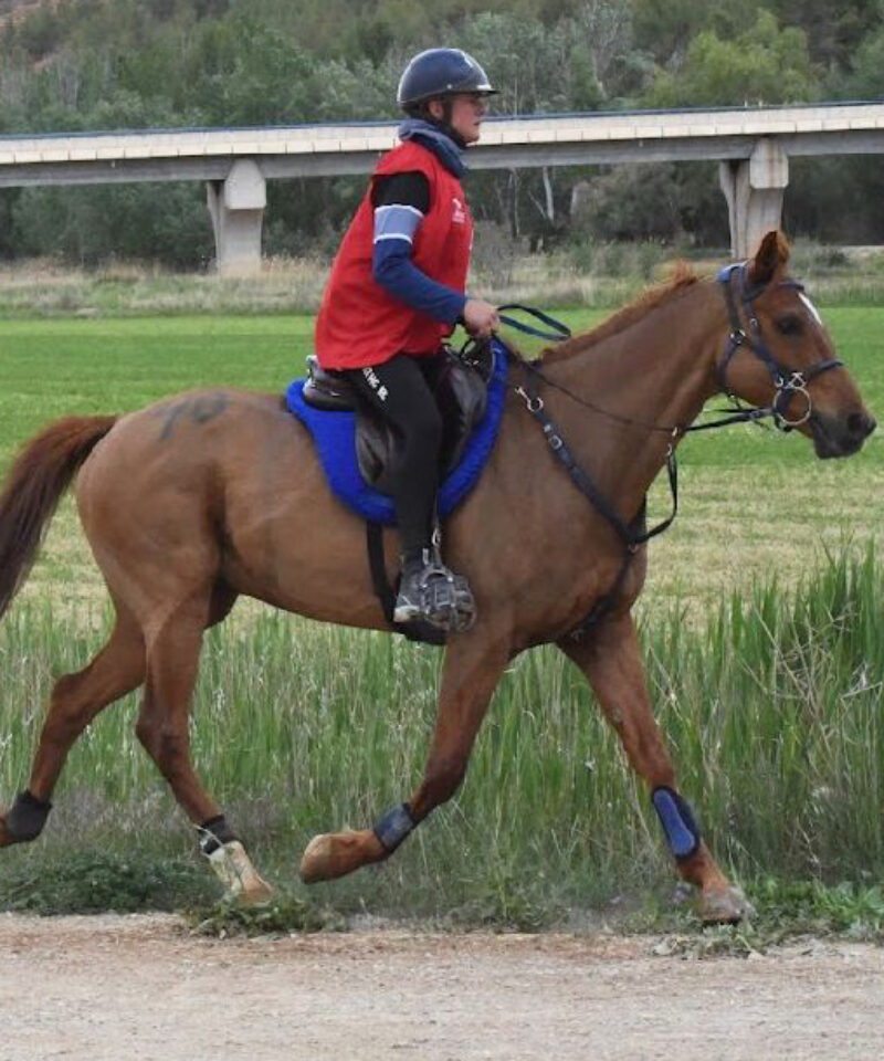 Farwest de Bozouls