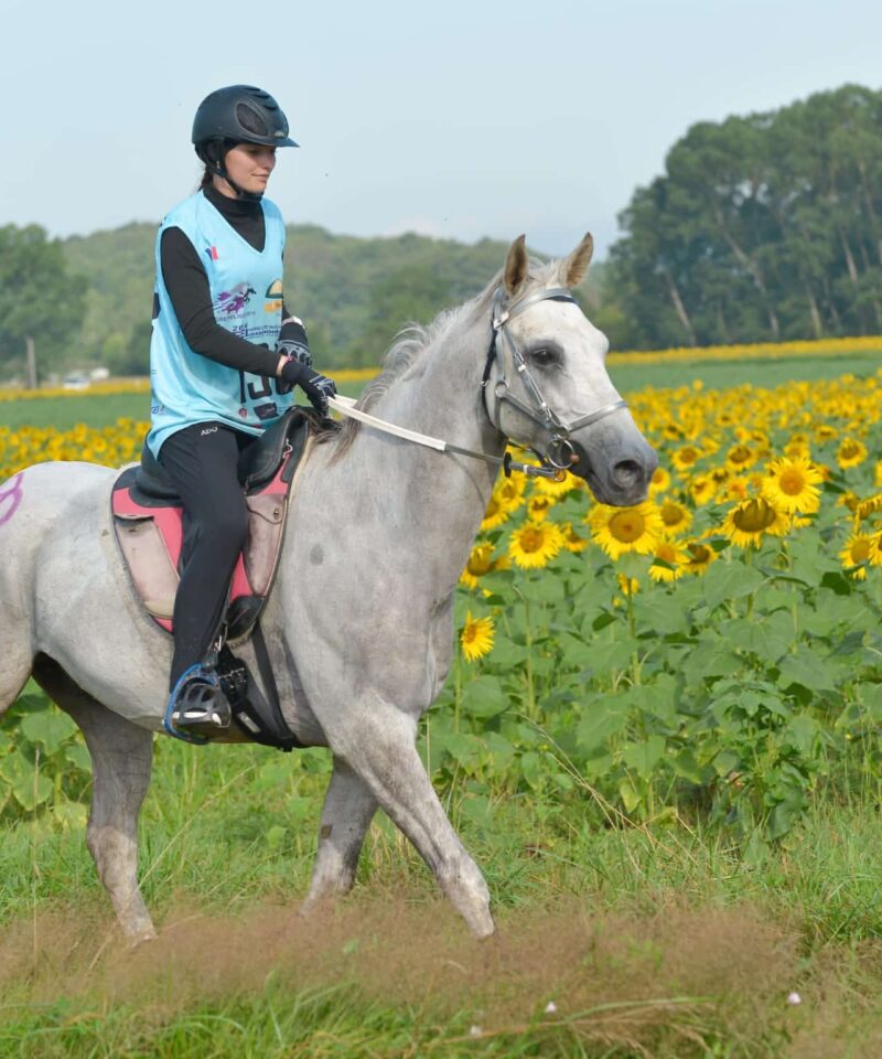 Ganador de Bozouls