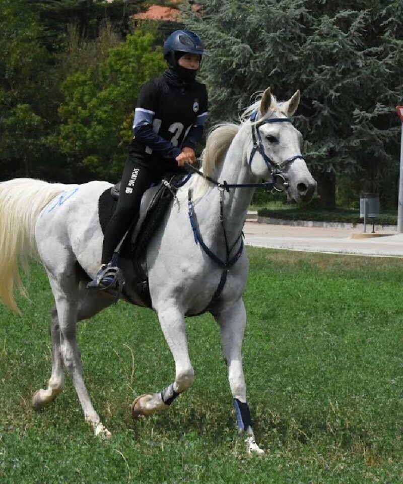 Haltaïr de Bozouls