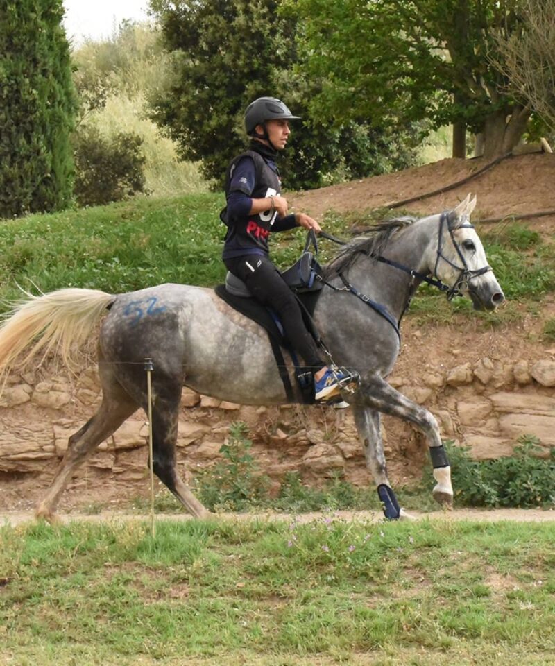 Halva de Bozouls