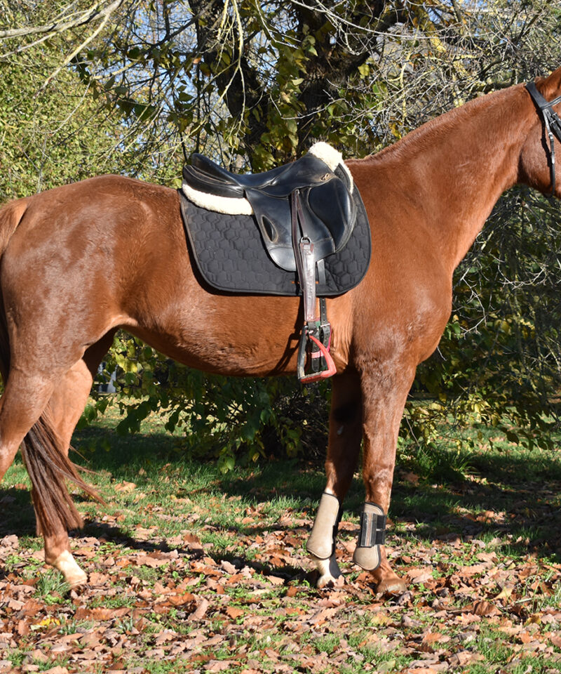 Harmonie de Bozouls