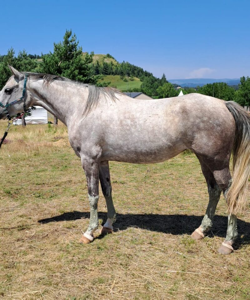 Inatia de Bozouls