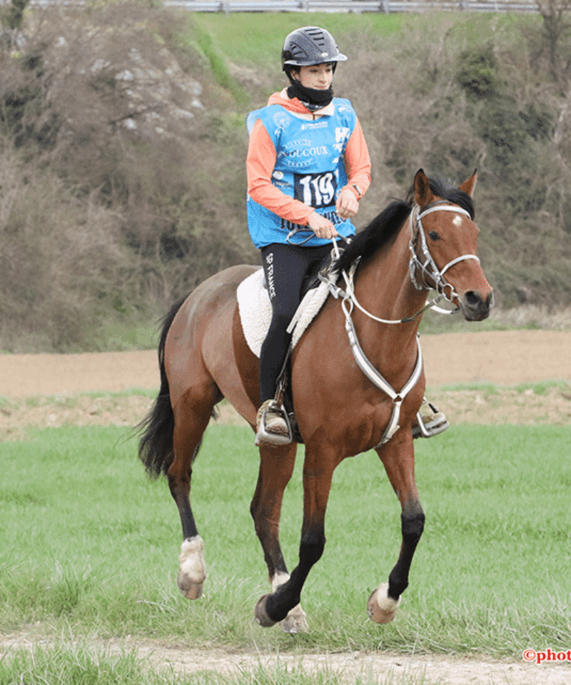 Iaypie de Bozouls