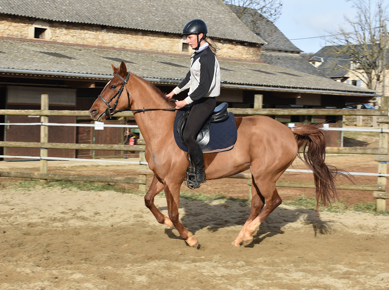 Jamaike de Bozouls – Image 7