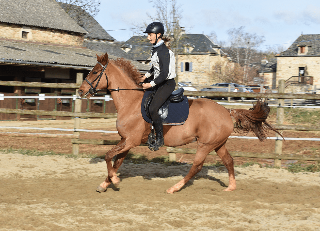 Jamaike de Bozouls – Image 3