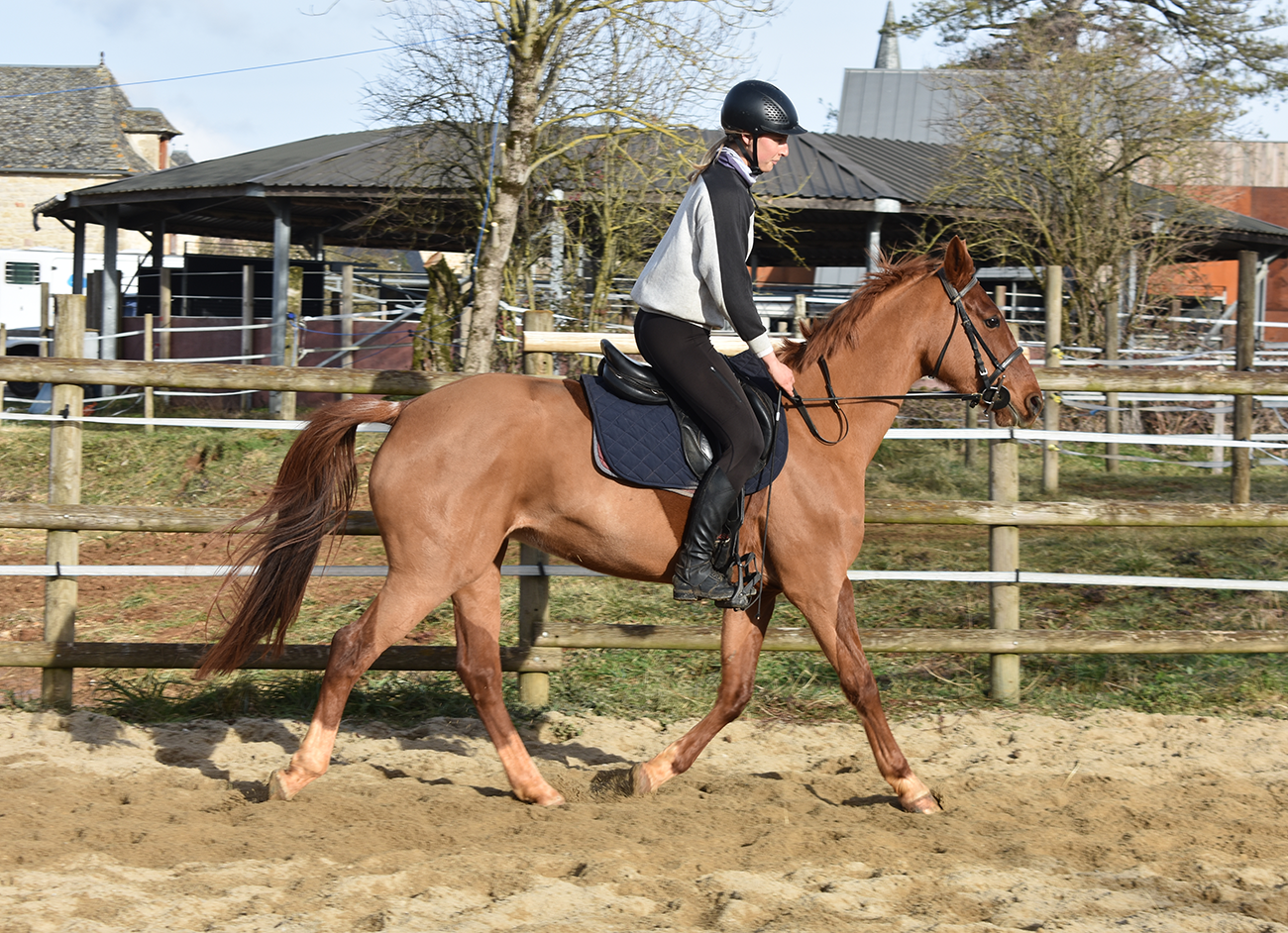 Jamaike de Bozouls – Image 4