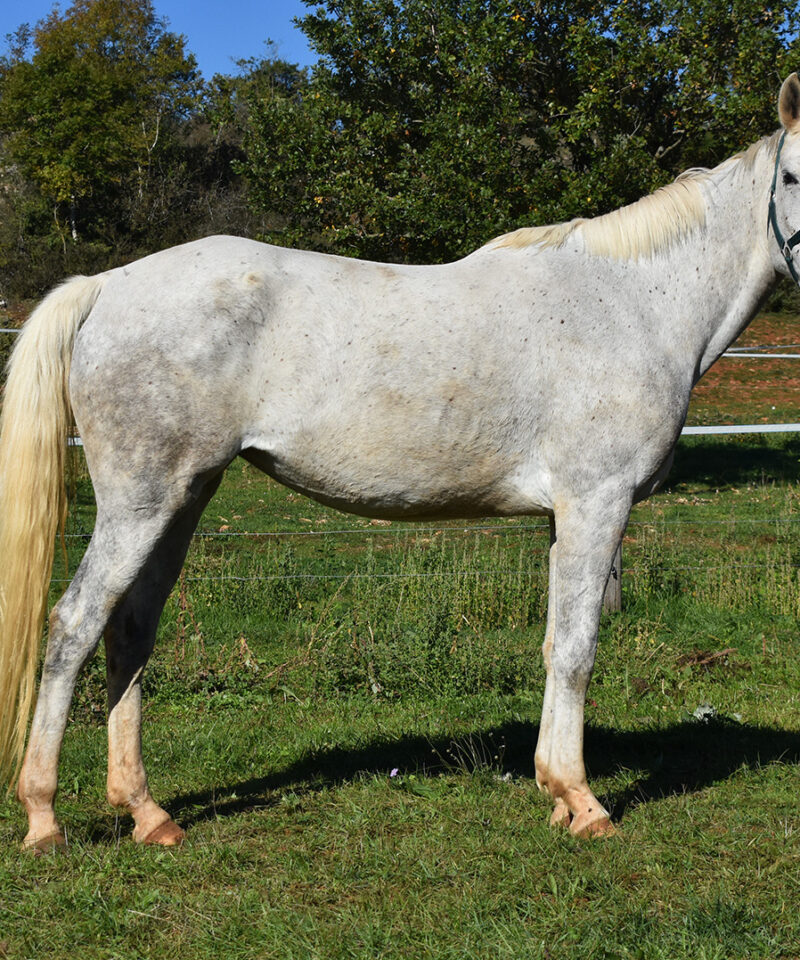 Jefa de Bozouls Jefa de Bozouls