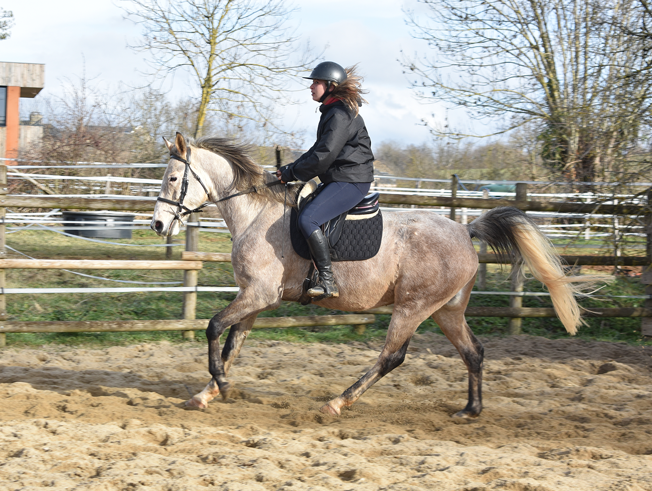 Jafar de Bozouls – Image 5