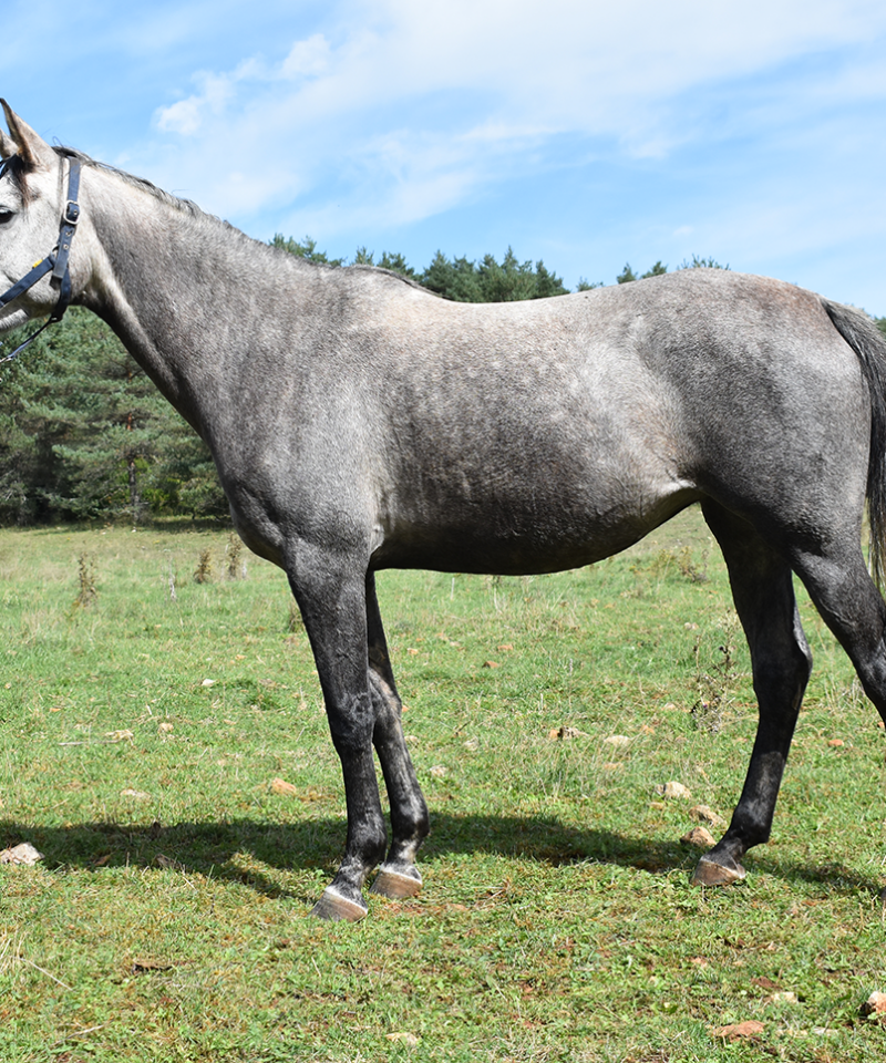 Kimara de Bozouls