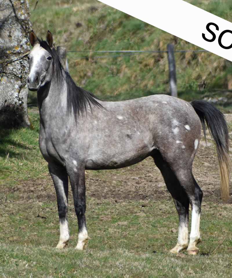Latia de Bozouls