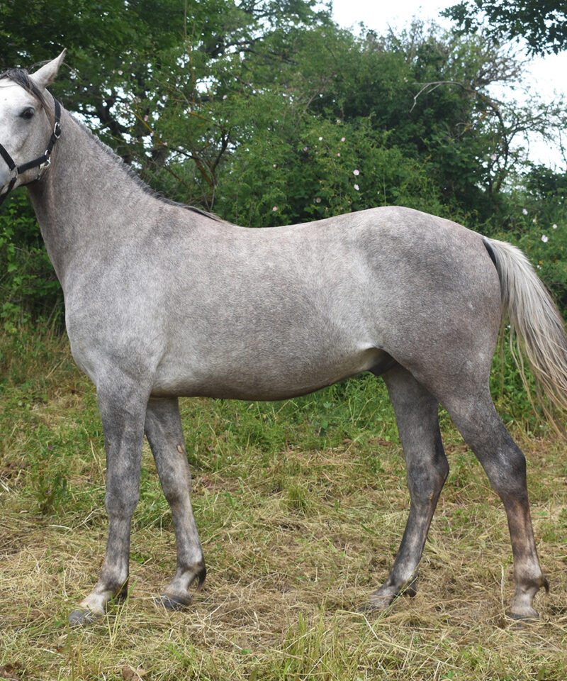 Lejara de Bozouls