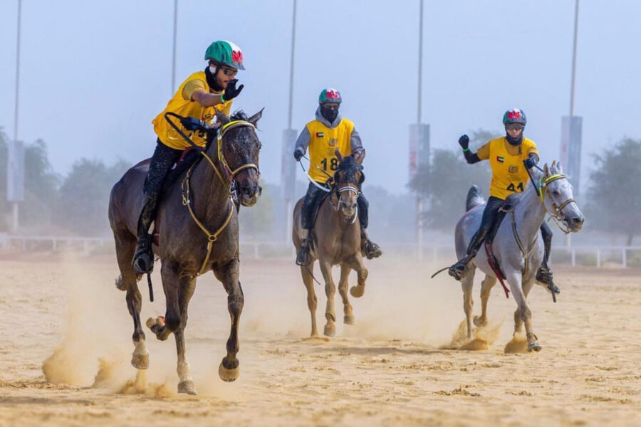 Des chevaux d’endurance qui font briller l’élevage dans les Pays du Golf !