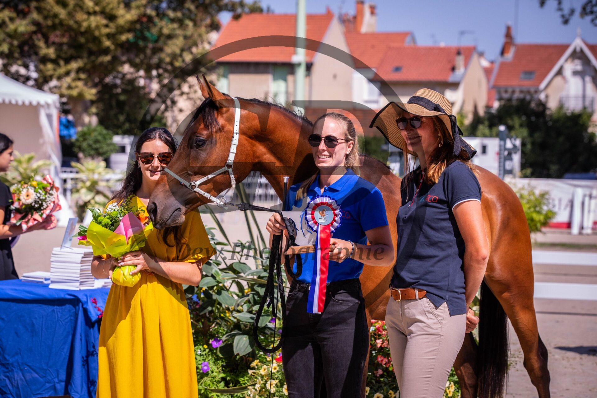 Festival du cheval arabe à Vichy : Finale du concours Modèles & Allures