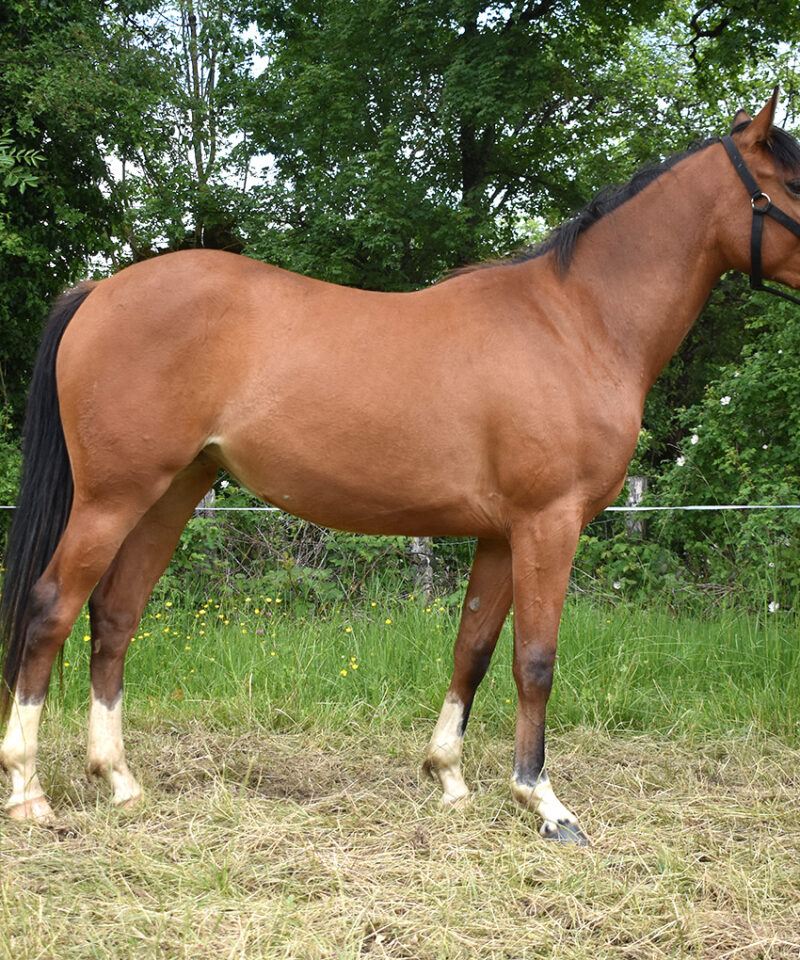 Opaline de Bozouls