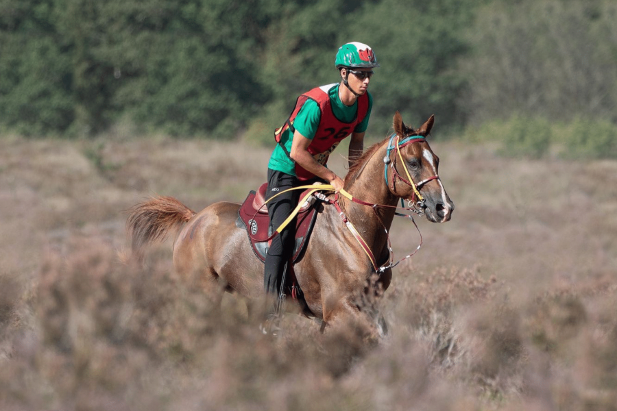 Championnats du monde d’endurance 2024 : cinq Bozouls sélectionnés !