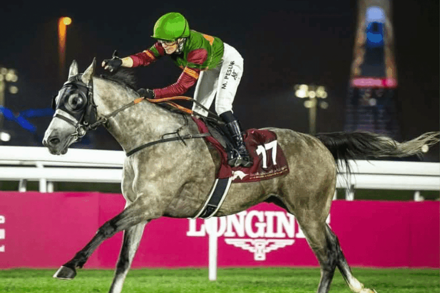 Mamoun de Bozouls victorieux !