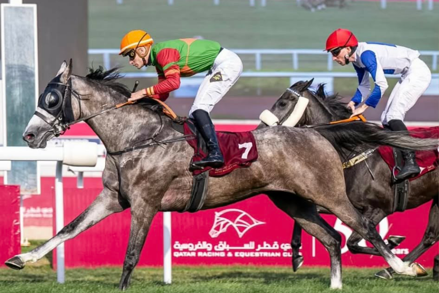 Nouvelle victoire pour Mamoun