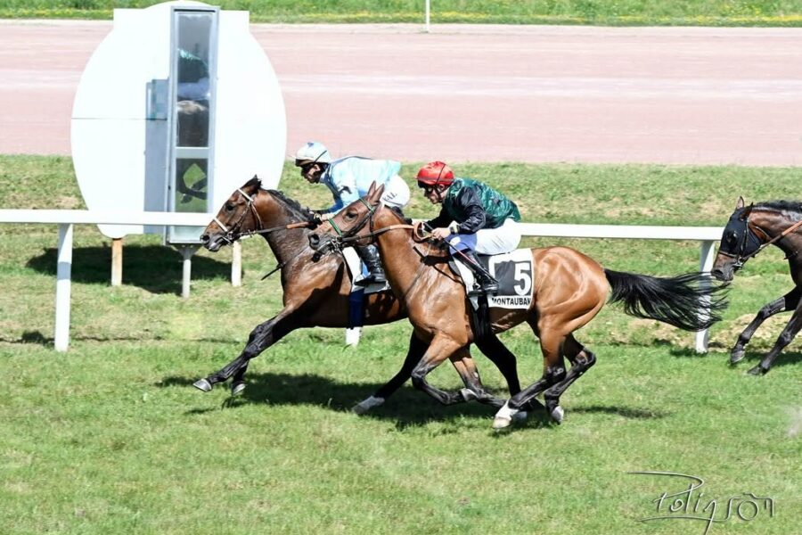 Prix Fernand Flottes à Montauban : Minedor se révèle enfin !