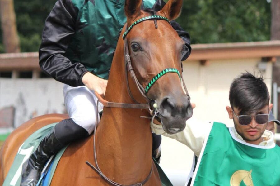 Des bons débuts pour Nqueen de Bozouls